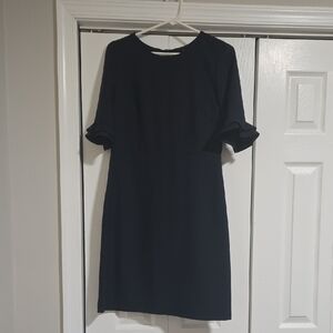 Navy Banana Republic Dress